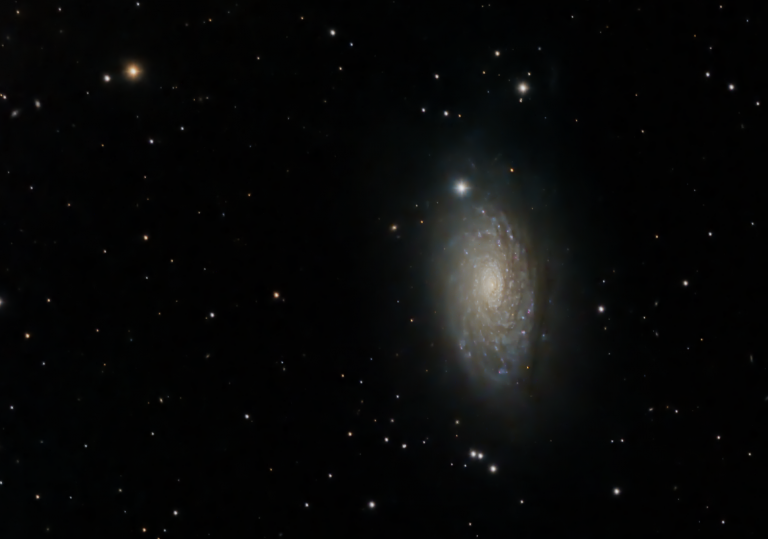 The Sunflower Galaxy