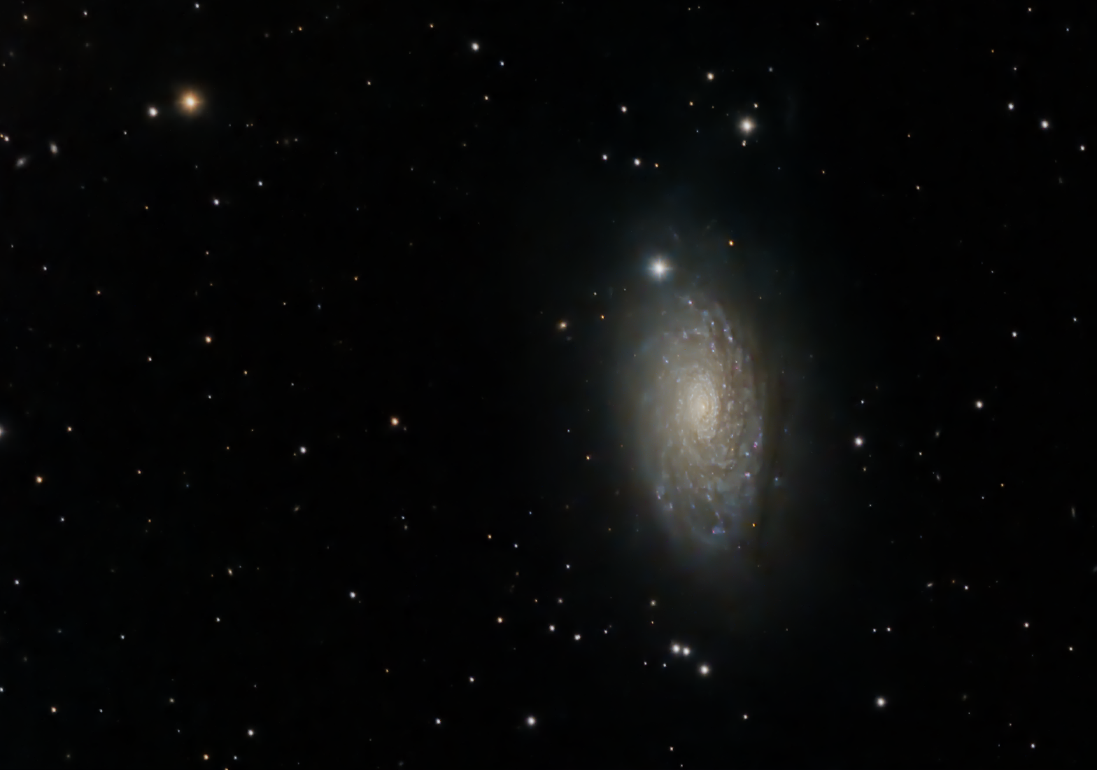 M63, The Sunflower Galaxy