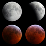 2019 Lunar Eclipse