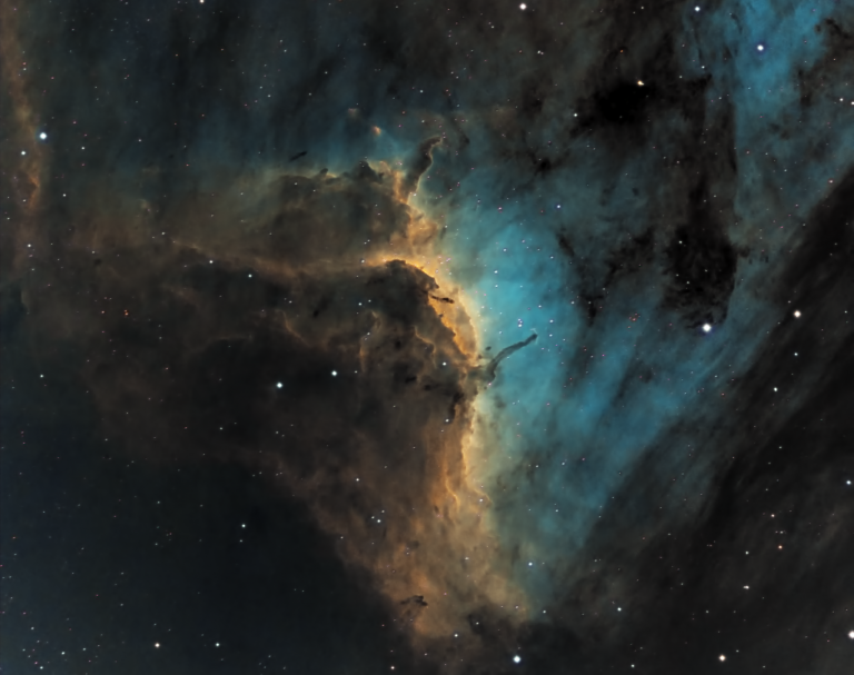 The Pelican Nebula