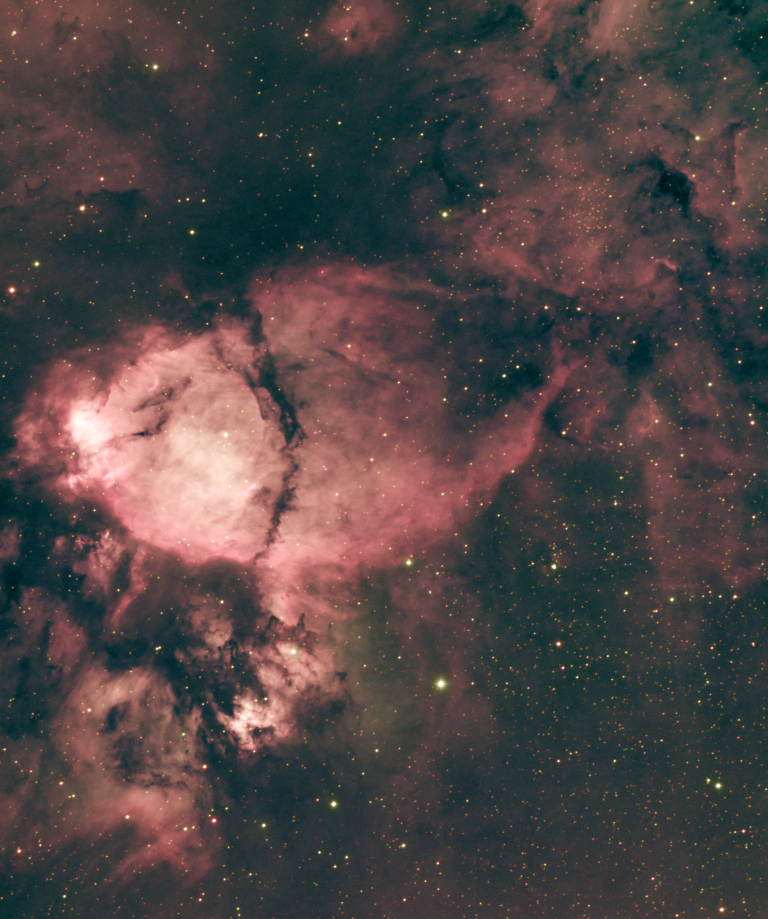 The “Fish-Head Nebula”