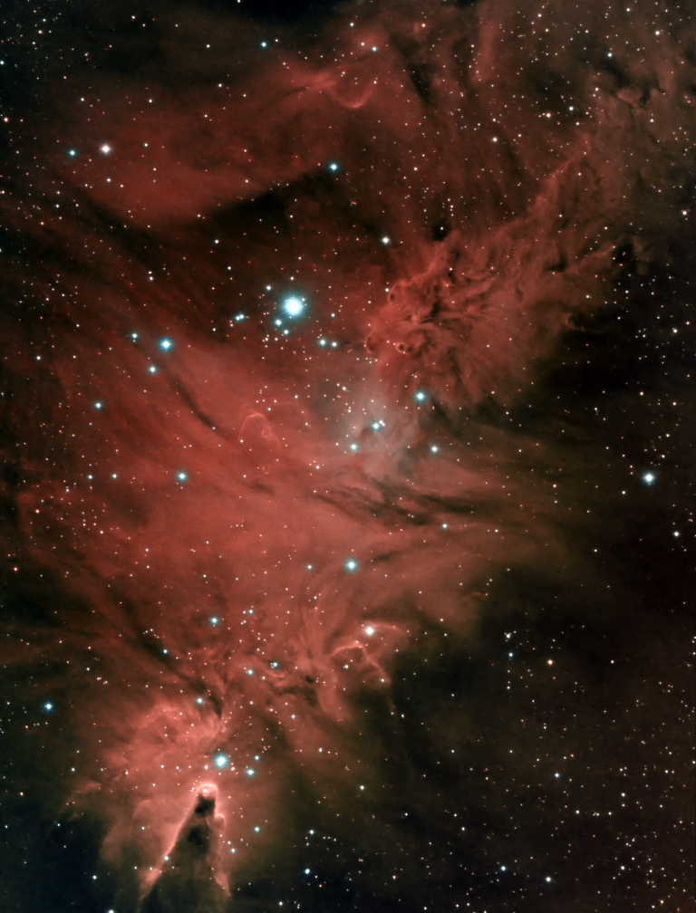 The Fox Fur Nebula (and more!)