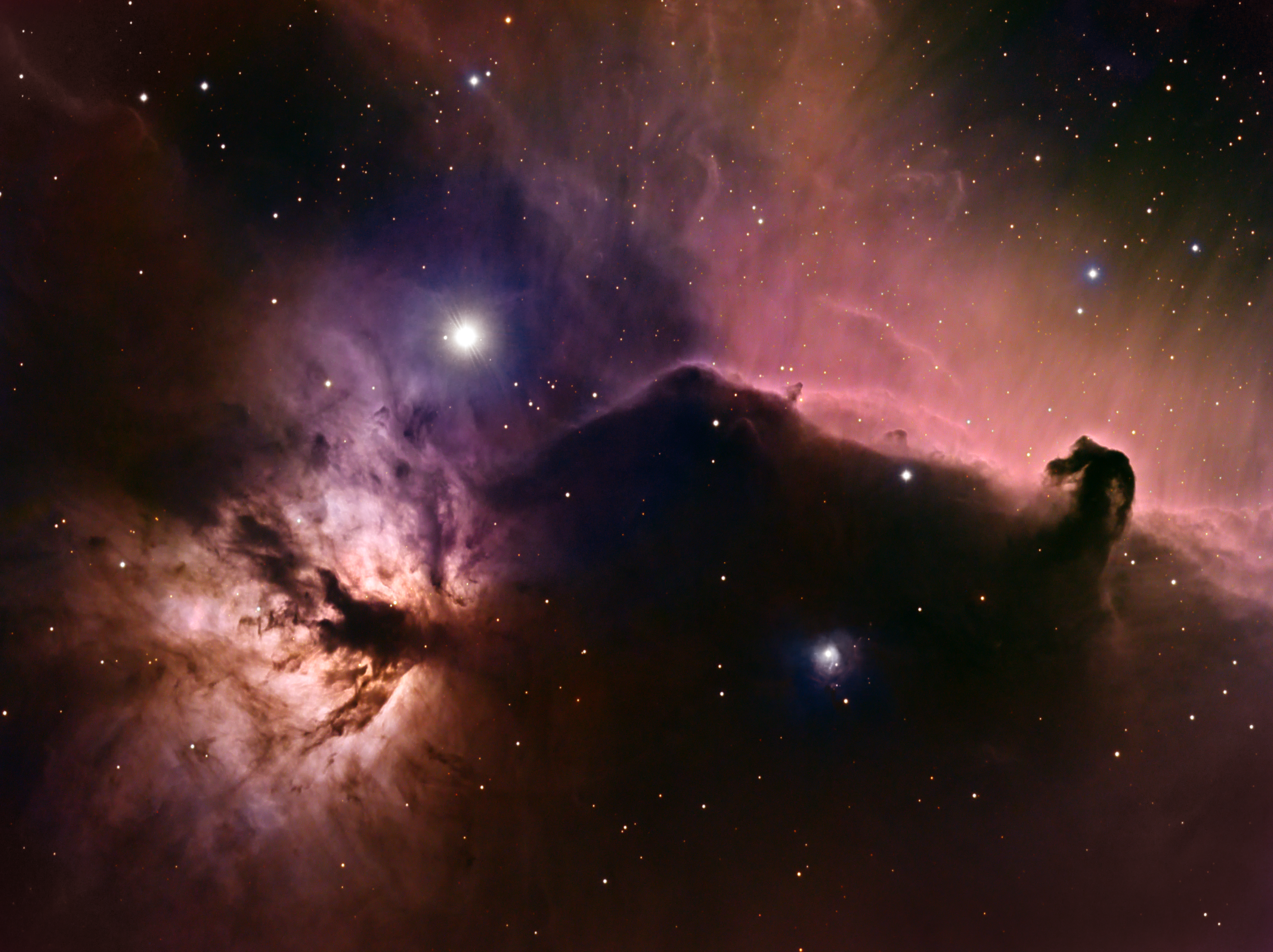 Horsehead and Flame Nebulas