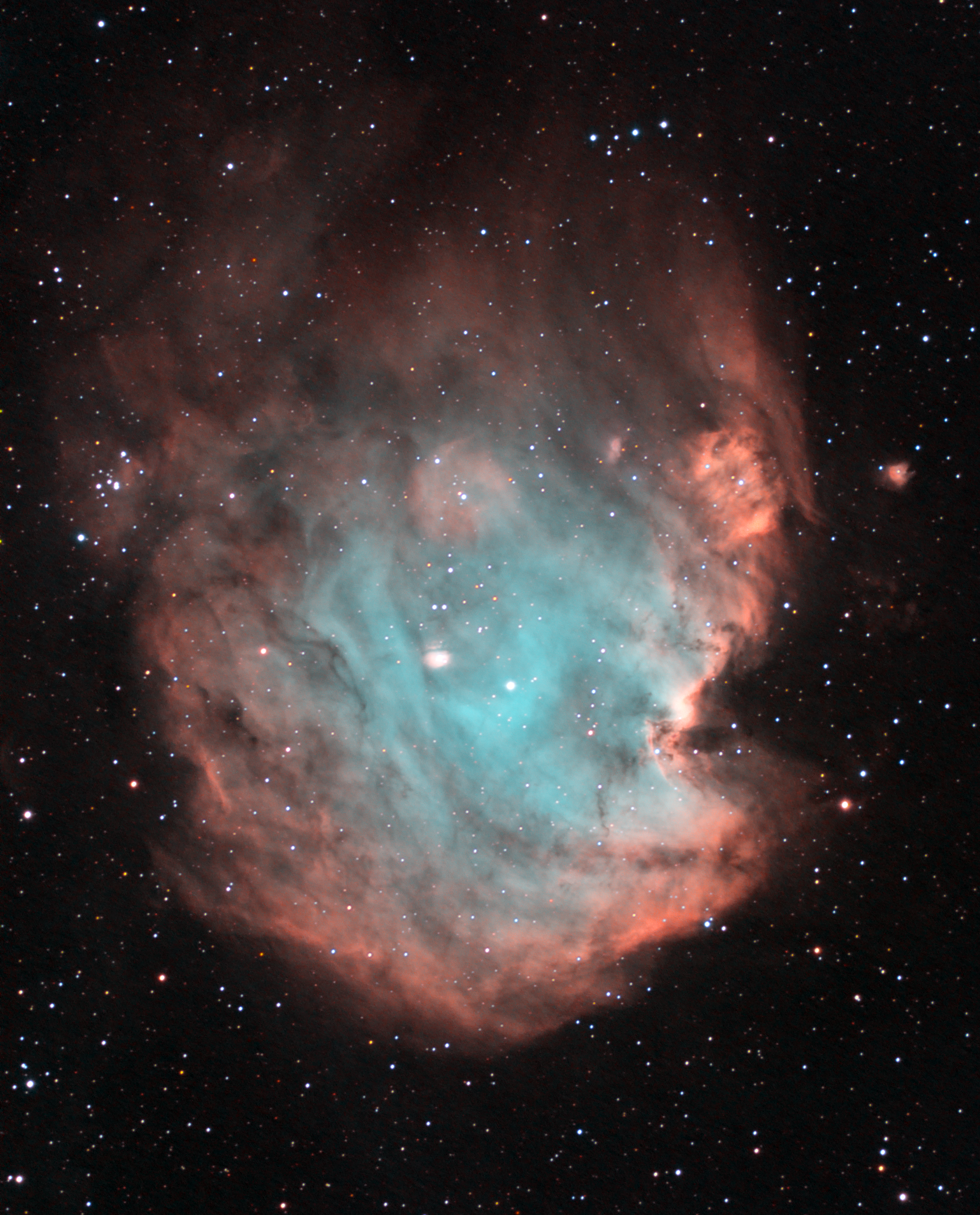 Monkey Head Nebula