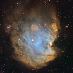 Monkey Head Nebula