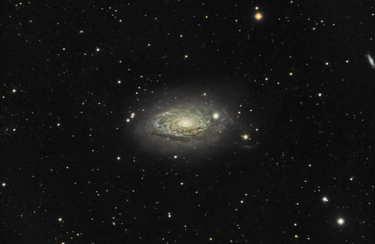 Revisiting M106 and the Sunflower
