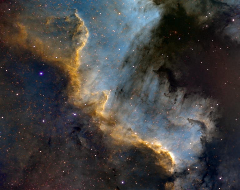 The “Cygnus Wall” of Star Formation