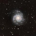 M74