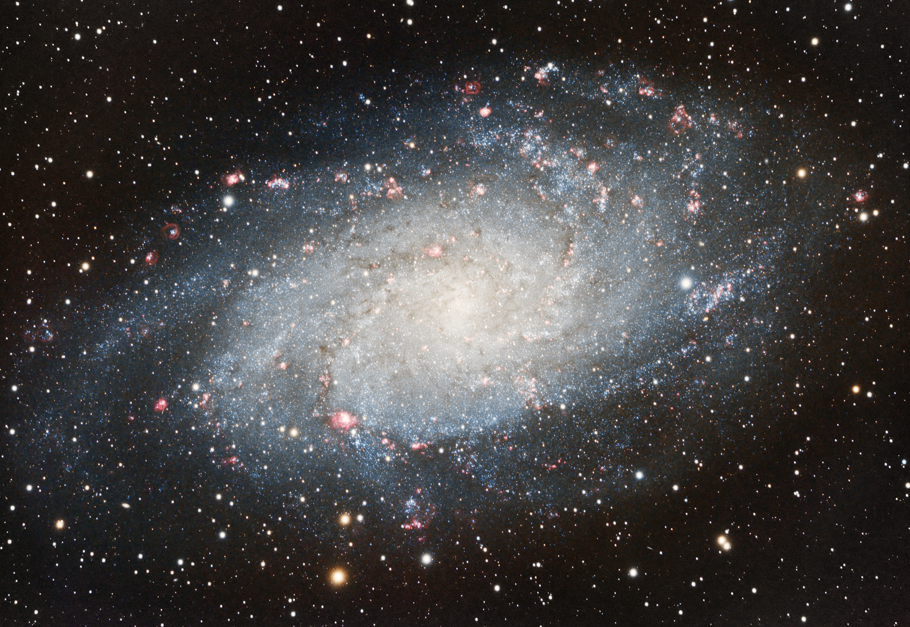 M33