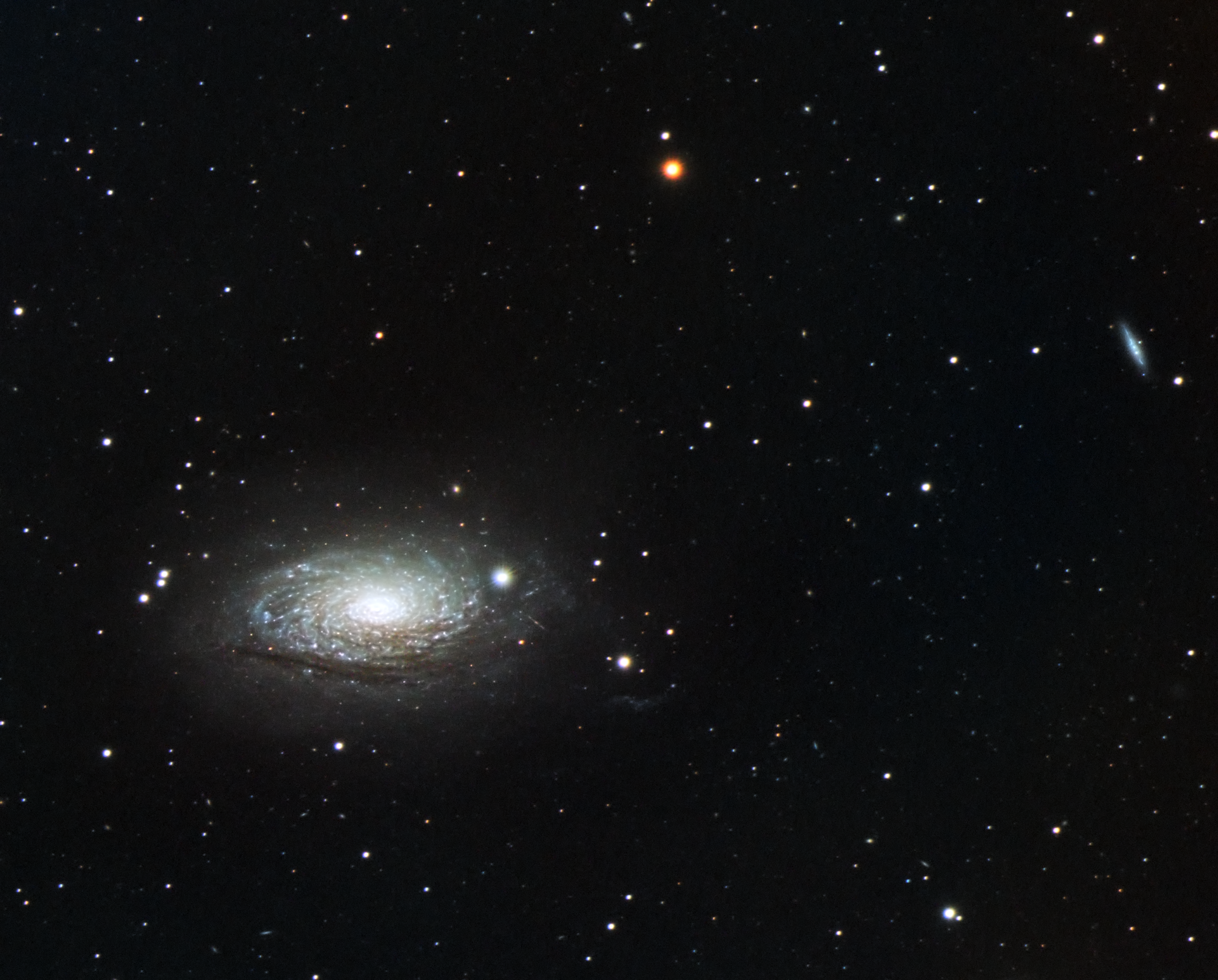 Sunflower Galaxy