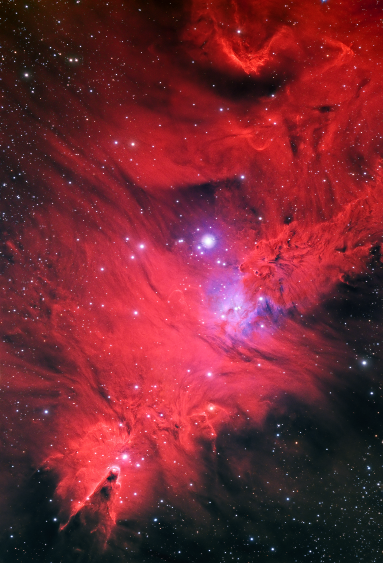 Going deep on the Cone and Fox Fur Nebulas