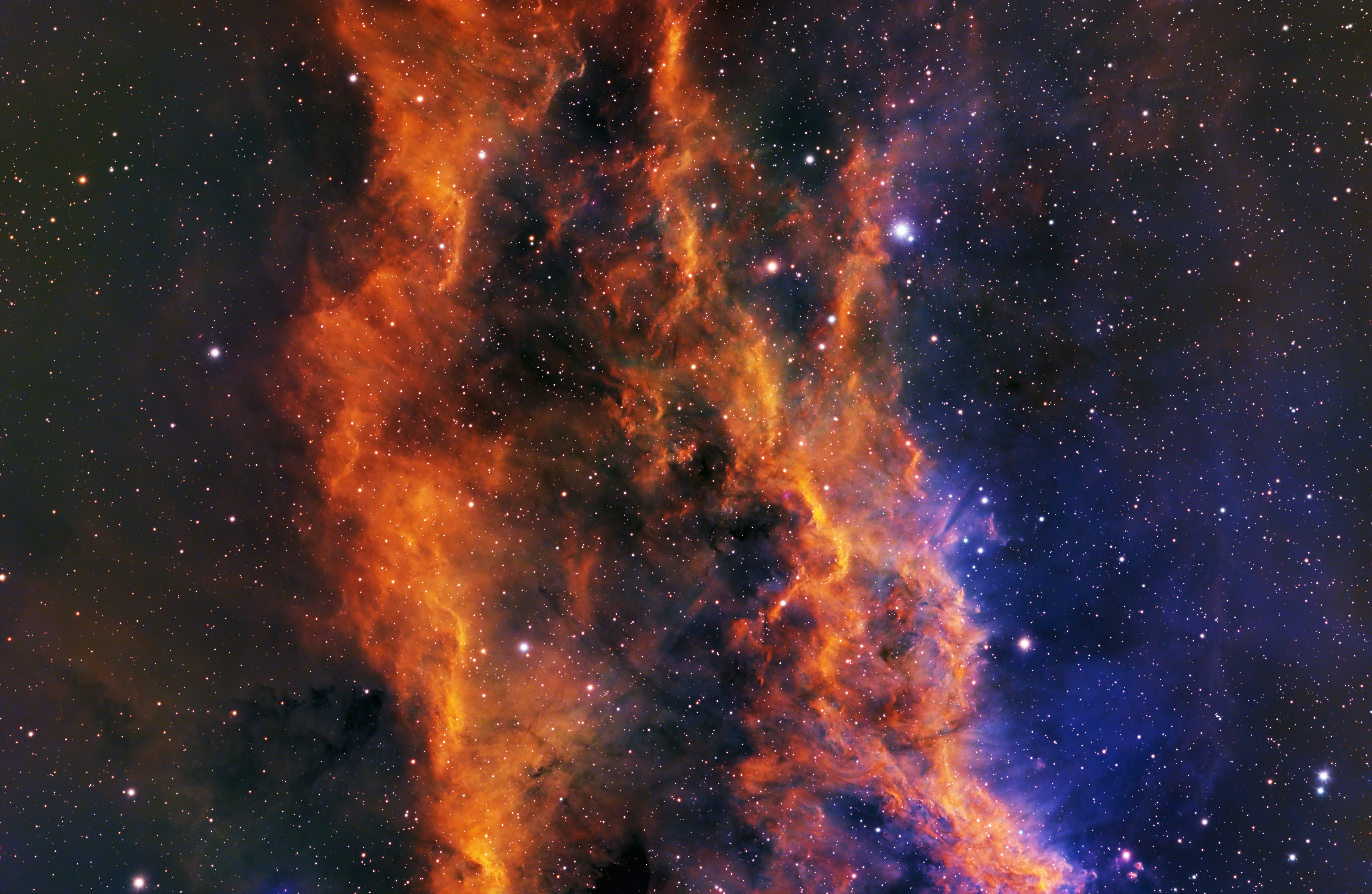 California Nebula