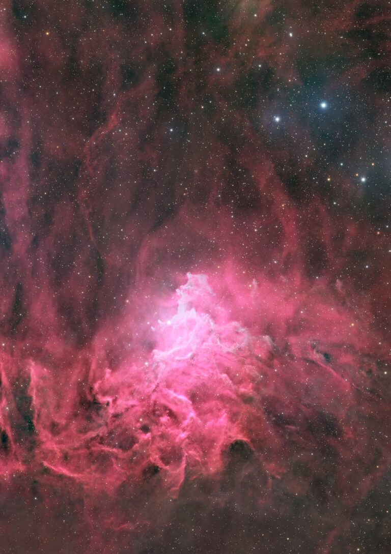 The Flaming Star Nebula